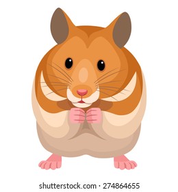 Hamster