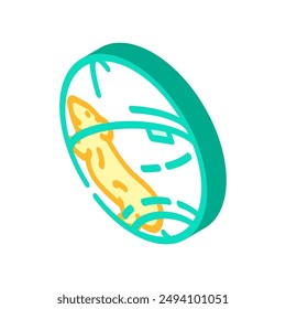 hamster in ball pet isometric icon vector. hamster in ball pet sign. isolated symbol illustration