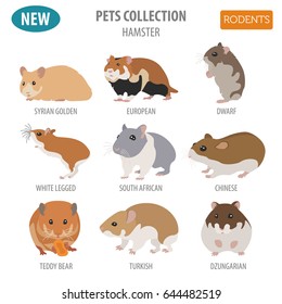 Hamster breeds icon set flat style isolated on white. Pet rodents collection. Create own infographic about pets. Vector illustration