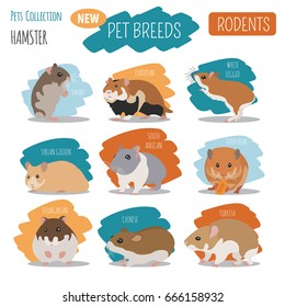 Hamster breeds icon set flat style isolated on white. Pet rodents collection. Create own infographic about pets. Vector illustration