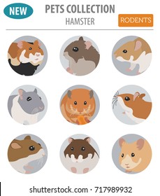 Hamster breeds icon set flat style isolated on white. Pet rodents collection. Create own infographic about pets. Vector illustration
