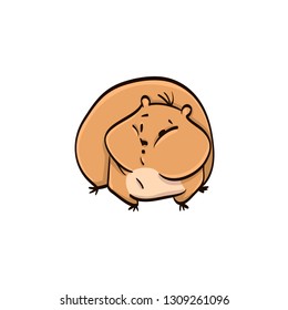 hamster cartoon colorful funny animal