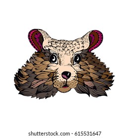 Hamster, color drawing portrait, graphic drawing rodent, ethnic and zentangle, vector illustration