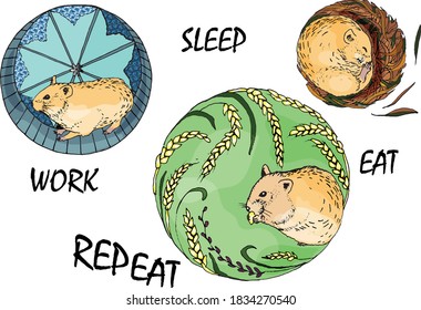 hamster eat, work, sleep, repeat t-shirt print, design, poster