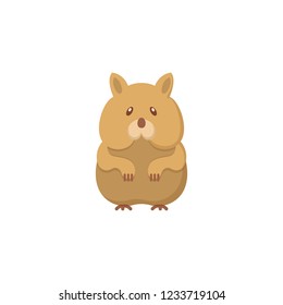 Hamster flat icon logo element. Flat symbols of pets illustration for websites print media. Isolated on white background.