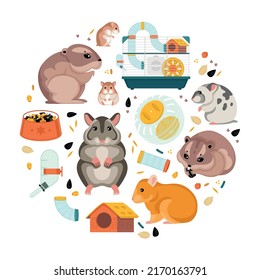 Hamster flat round composition with cute animals food and cage with wheel and automatic drinker cartoon vector illustration