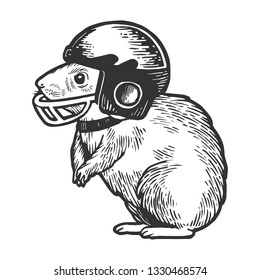 Hamster in football helmet sketch engraving vector illustration. Scratch board style imitation. Hand drawn image.