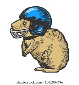 Hamster in football helmet sketch engraving vector illustration. T-shirt apparel print design. Scratch board style imitation. Black and white hand drawn image.