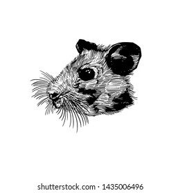 Hamster head cute design art