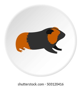 Hamster icon. Flat illustration of hamster vector icon for web