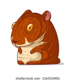 A Hamster, isolated vector illustration. Funny cartoon picture of an anxious hamster. A humorous mouse sticker. Simple drawing of rodent on white background. A shy hamster staring at something
