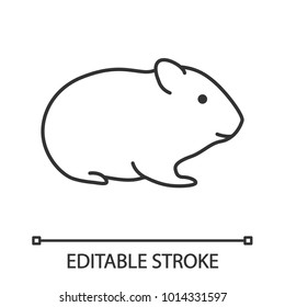 Hamster linear icon. Thin line illustration. Rodent. Contour symbol. Vector isolated outline drawing. Editable stroke