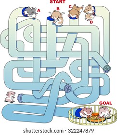 Hamster maze