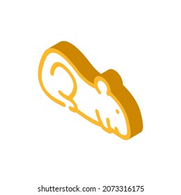 hamster pet animal isometric icon vector. hamster pet animal sign. isolated symbol illustration