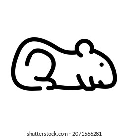 hamster pet animal line icon vector. hamster pet animal sign. isolated contour symbol black illustration
