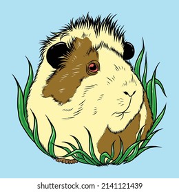 hamster pet color icon vector. hamster pet sign. isolated symbol illustration