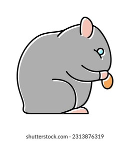 hamster pet color icon vector. hamster pet sign. isolated symbol illustration