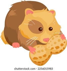 Hamster pet with peanut. Vector illustration
