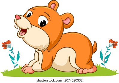 The hamster is playing in the garden with the happy face of illustration