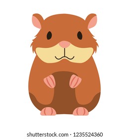 hamster rodent on white background