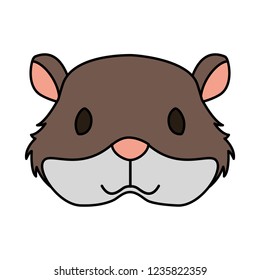 hamster rodent on white background