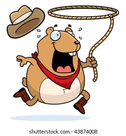 Hamster Rodeo