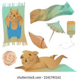 hamster and seashell summer sunbathing tropical vector set
