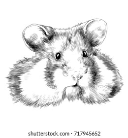 hamster sketch vector graphics head monochrome black-and-white drawing