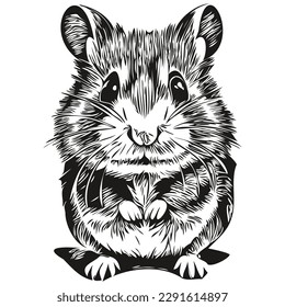 hamster sketchy, graphic portrait of a hamster on a white background, hamsters
