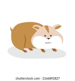 Hamster steht auf seinen Pfoten