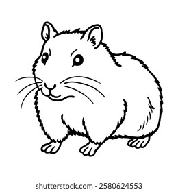 Hamster, hamster vector, cute hamster, hamster illustration, 