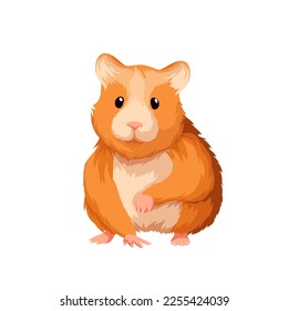 Hamster vector illustration. Cartoon isolated cute little fat pet with fur and funny adorable face, front view of fluffy rodent character standing with raised paw and curiosity, portrait of hamster