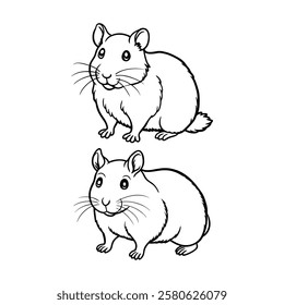 Hamster, hamster vector set, cute hamster, hamster illustration, 