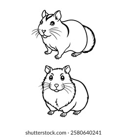 Hamster, hamster vector set, cute hamster, hamster illustration, 