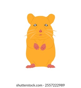 Hamster, Veterinary Flat Vector Illustration