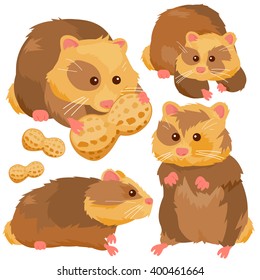 Hamsters with peanuts. Vector illustration set