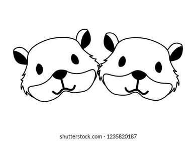 hamsters rodent on white background