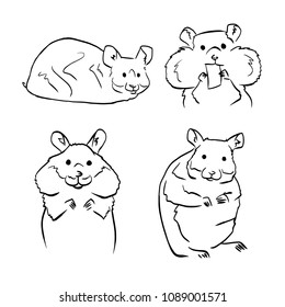 Hamsters sketches on white background