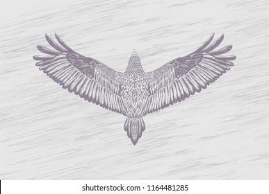 Han drawn falcon on the old grey background.Pastel colors.flying eagle.Back of bird.Vector isolated illustration.Backdrop with nature texture.Sketch for tattoo art. Detailed animal.Nature texture. 
