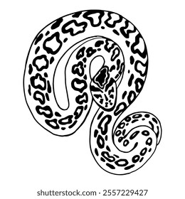 Han drawn sketch snake. New year 2025 sign. Vector isolated illustration