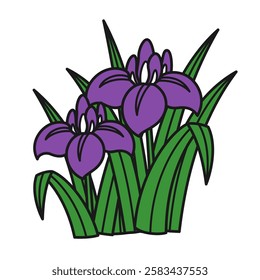 Hanafuda style iris flower illustration