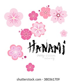 Hanami. Custom of cherry-blossom viewing in Japan. Card design with sakura flowers flat icons scattered around hand drawn lettering "Hanami" with rough edges made by dry brush.