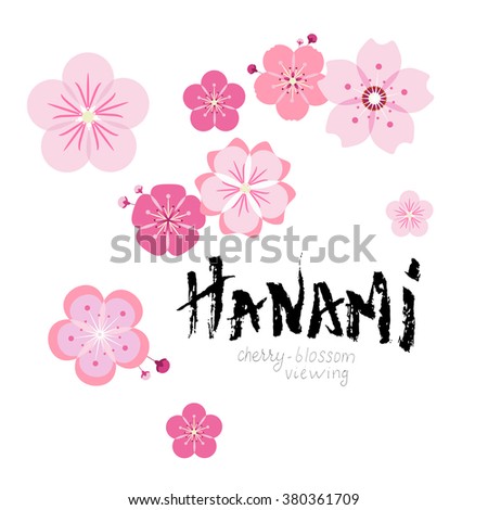 Hanami. Custom of cherry-blossom viewing in Japan. Card design with sakura flowers flat icons scattered around hand drawn lettering "Hanami" with rough edges made by dry brush.