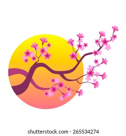 Hanami sakura and apple flowers bloom in spring. 