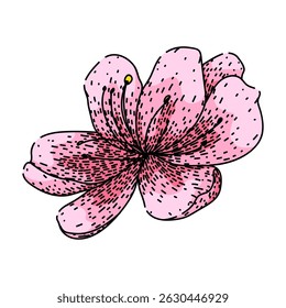hanami sakura mão desenhada. japão primavera, árvore de flores, festival natureza hanami sakura esboço vetor. ilustração de cor isolada