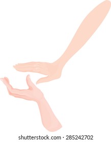 hand