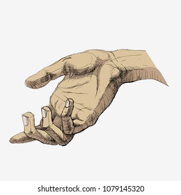 Hand. Academic drawing Hand. Stock vector illustration.