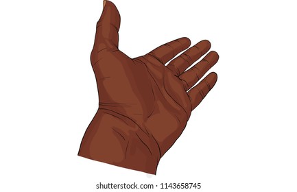hand action, hand activity vector