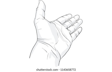 hand action, hand activity vector