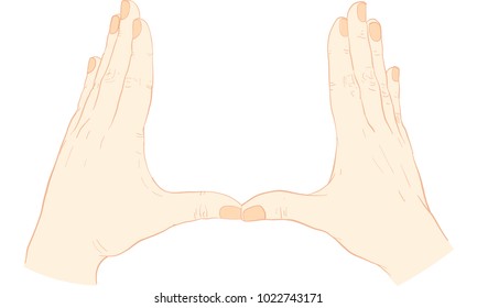 hand action vector